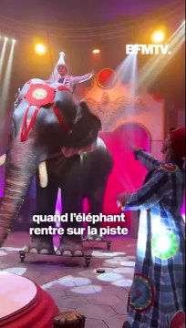 C'est une première mondiale : dans ce cirque, un robot éléphant fait sensation auprès du public