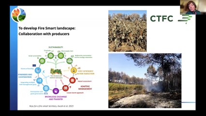 FIRE-RES Innovation Actions: Webinar N°3