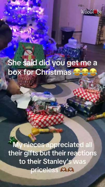 Cool aunt makes nieces' Christmas magical by surprising them with a Stanley Cup