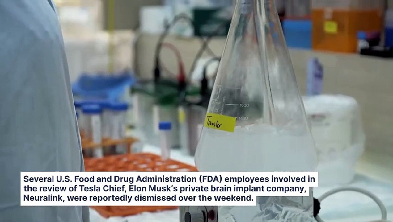 DOGE Reportedly Fires FDA Staff Reviewing Elon Musk's Neuralink: 'We Should Be Worried About The Whole Trial,' Says Former Official