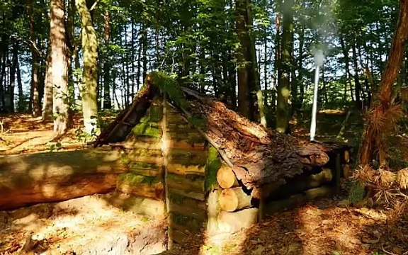🏡 Building a Hidden Cabin for Off-Grid Living | Ultimate Wilderness Escape! 🌲 #survival #camping