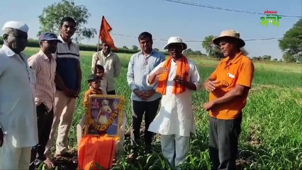 Gladiolas : शेतकऱ्यांनी कांद्याच्या शेतात साजरी केली शिवजंयती
