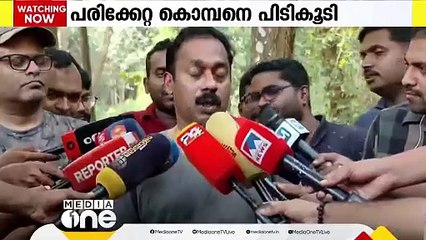 അതിരപ്പള്ളിയിൽ മസ്തകത്തിൽ പരിക്കേറ്റ കാട്ടുകൊമ്പന് വനംവകുപ്പ് ചികിത്സ തുടങ്ങി
