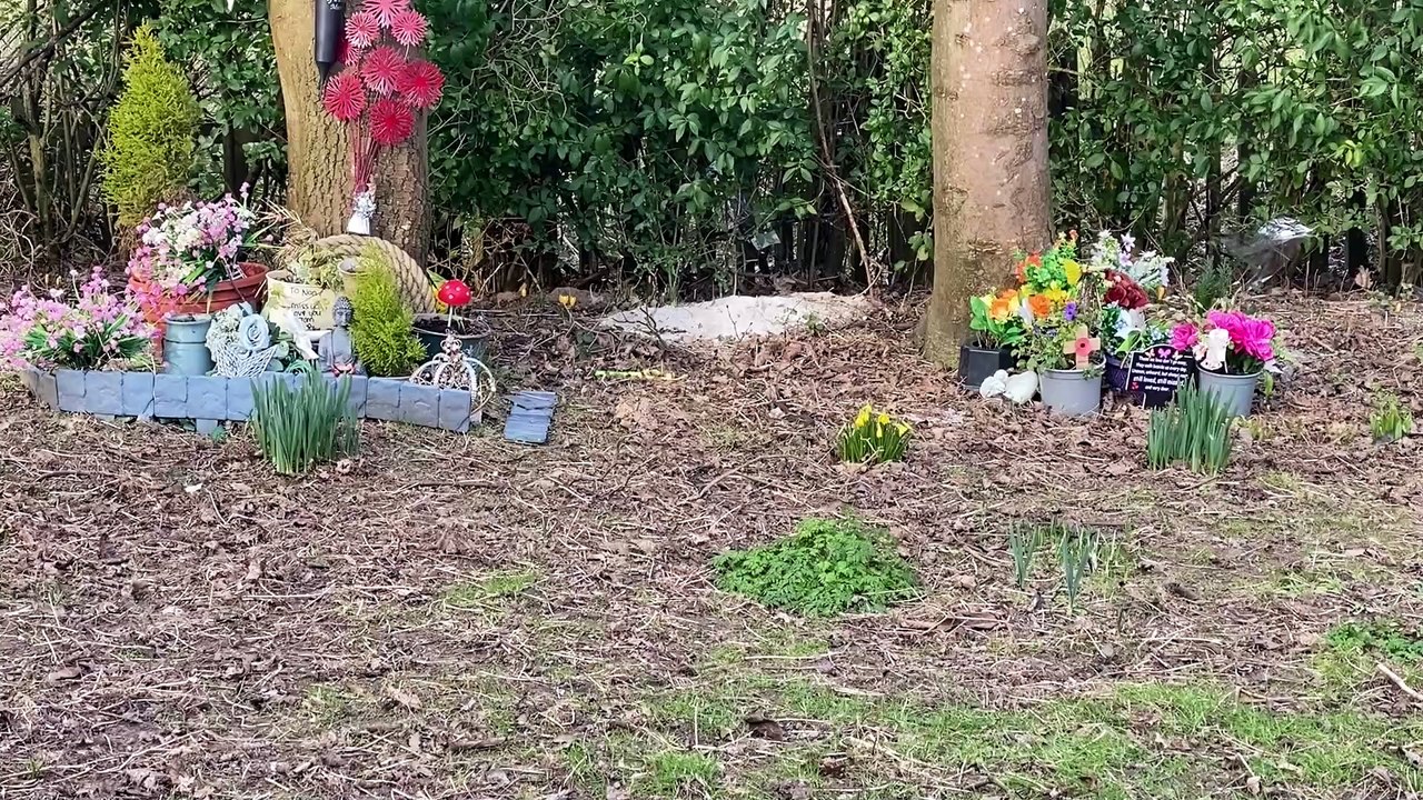 "I was horrified, it made me feel sick" Mourners shocked at piles of ashes dumped disrespectfully in Carleton Cemetery and Crematorium