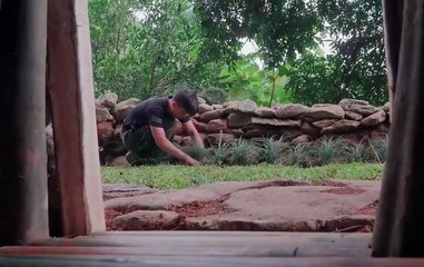🏠Building a Stone House Shelter | Ultimate Wilderness Survival!🌲🔥 #survival #camping #survivalskills