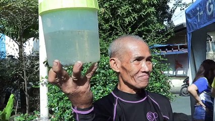 Manila oferece recompensa por mosquitos transmissores de dengue