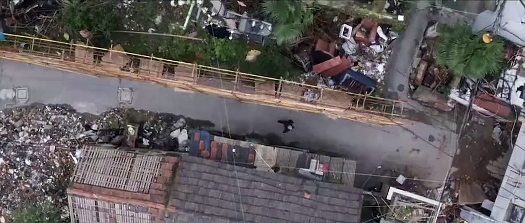 The Shanghai Job