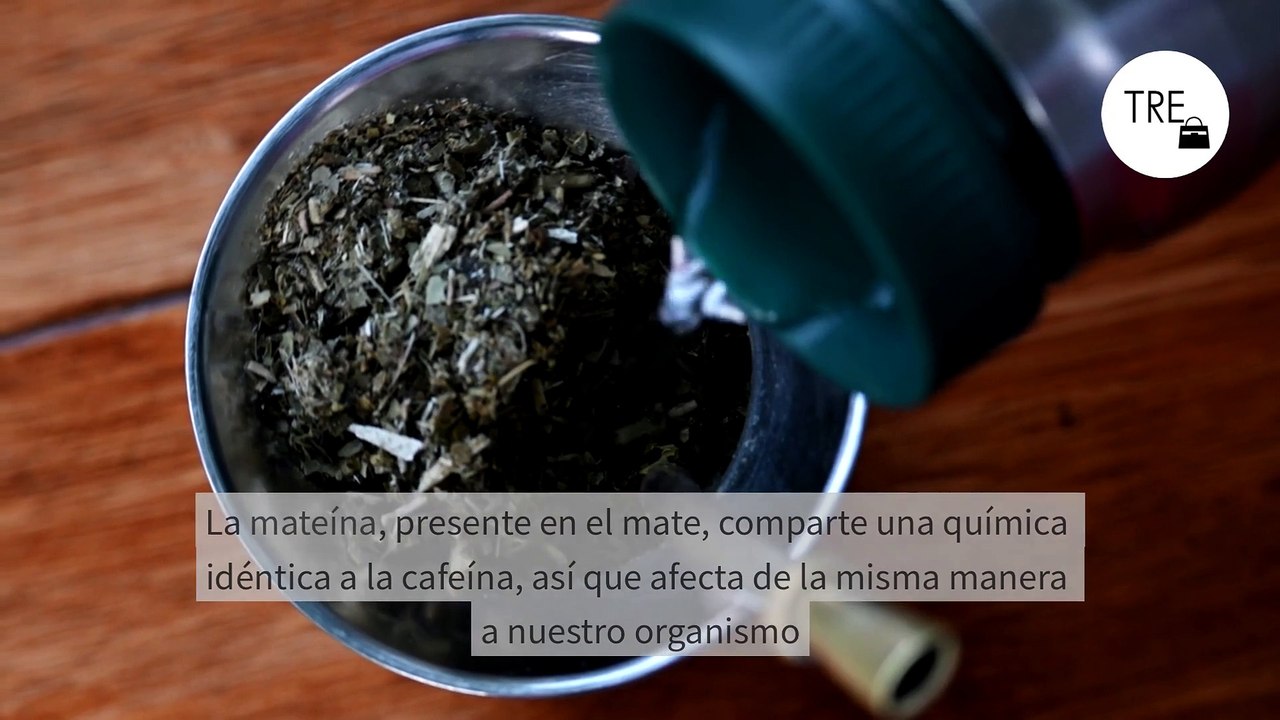 Más allá del café y el té: estos son los alimentos que tienen sustancias estimulantes y quizás no lo sabías