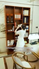 Thief or Savior The CEO's Unlikely Encounter with a Girl on a Mission