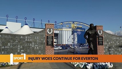 Latest Everton injury update as key player returns seem unlikely for David Moyes’ side