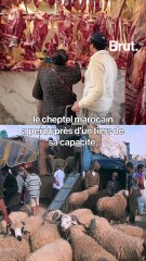 Maroc : la crise de l'élevage menace l'Aïd