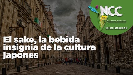 El sake, la bebida insignia de la cultura japones