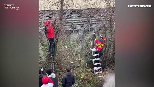 Ferrari SF-25 in pista a Fiorano, tifoso sega un albero per guardare Leclerc e Hamilton