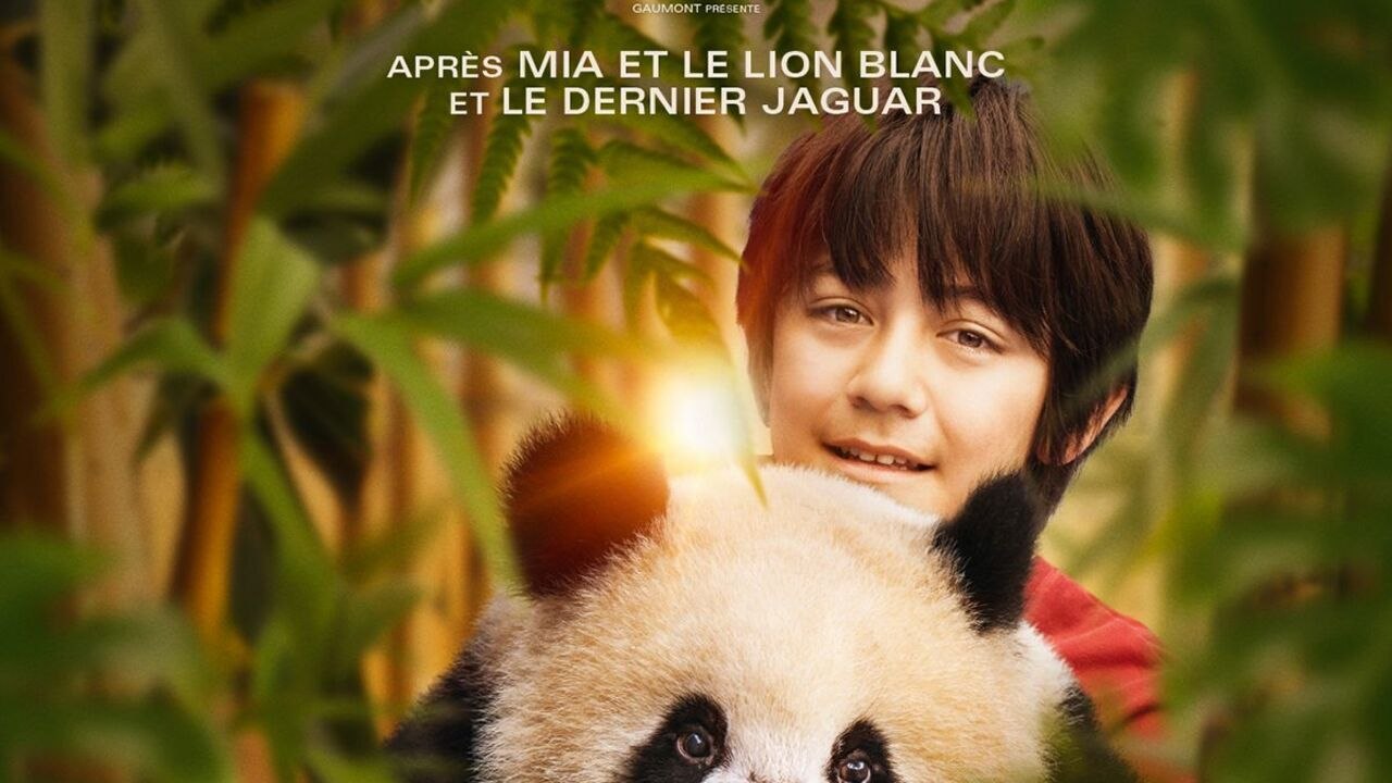 Moon le panda