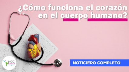 ¿Cómo funciona el corazón en el cuerpo humano? | 237 | 17 al 23 febrero 2025