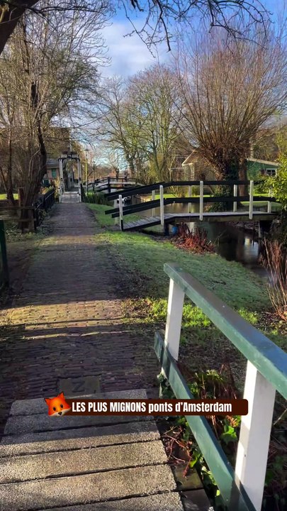 LES PLUS MIGNONS ponts d’Amsterdam