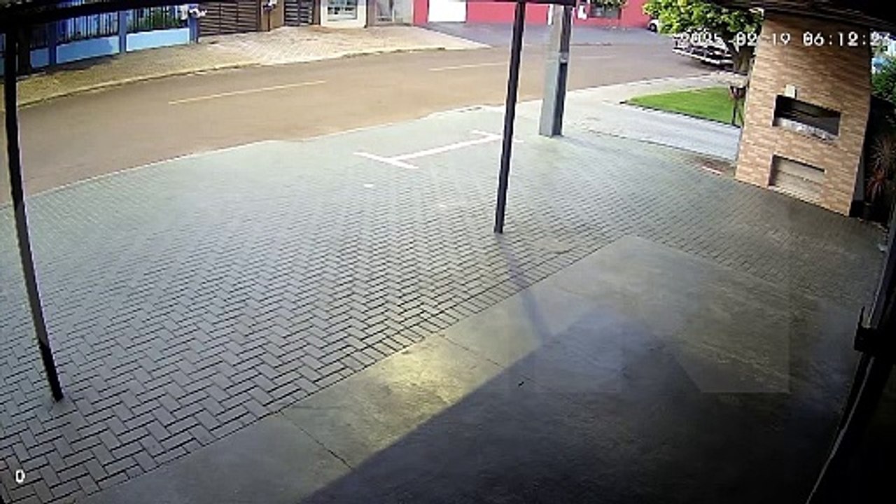 Câmeras flagram homem abandonando filhote de gato em veterinária no Santa Felicidade