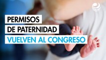 Permisos de paternidad vuelven al Congreso