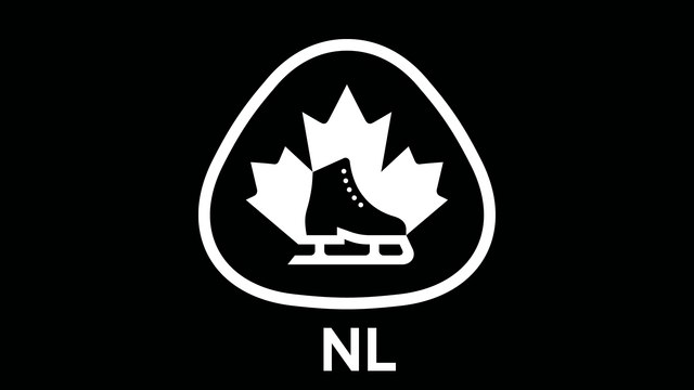 2025 Newfoundland & Labrador Provincial Championships - Weekend 2