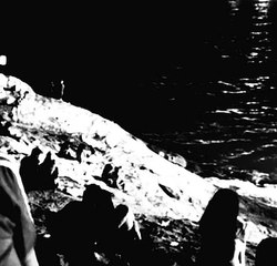 Floyymenor - Original Song Featuring a Stunning Female Artist 🎶