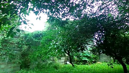 Lindo Domingo lluvioso en Tacuarembó (16/02/2025)