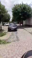 Projeto de controle populacional reduz número de cães de rua no bairro Juá Doce, em Patos, e pode ser exemplo para a cidade