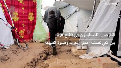 النازحون في شمال غزة يكافحون البرد والأمطار وسط خيام متهالكة