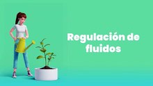 Todo lo que Necesitas Saber sobre el Sodio Beneficios, Fuentes y Recomendaciones