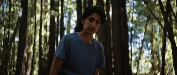 The Wild Official Movie Trailer 🌿