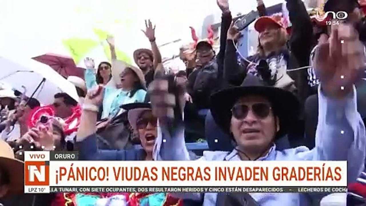 arañas