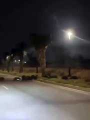 Aumento de avistamientos de jabalíes en Cumbres García