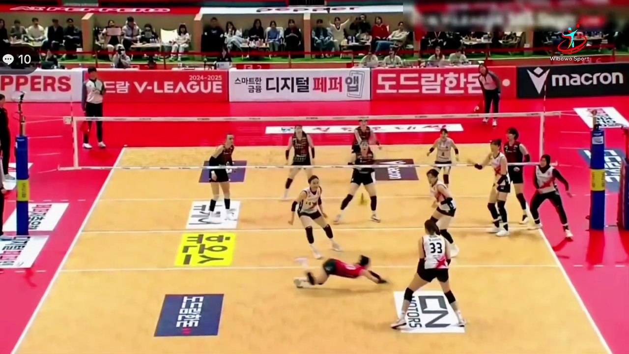 Detik-Detik Megawati Hangestri Bikin Libero AI Peppers Memar! 🏐 | Sorotan Aksi Menegangkan