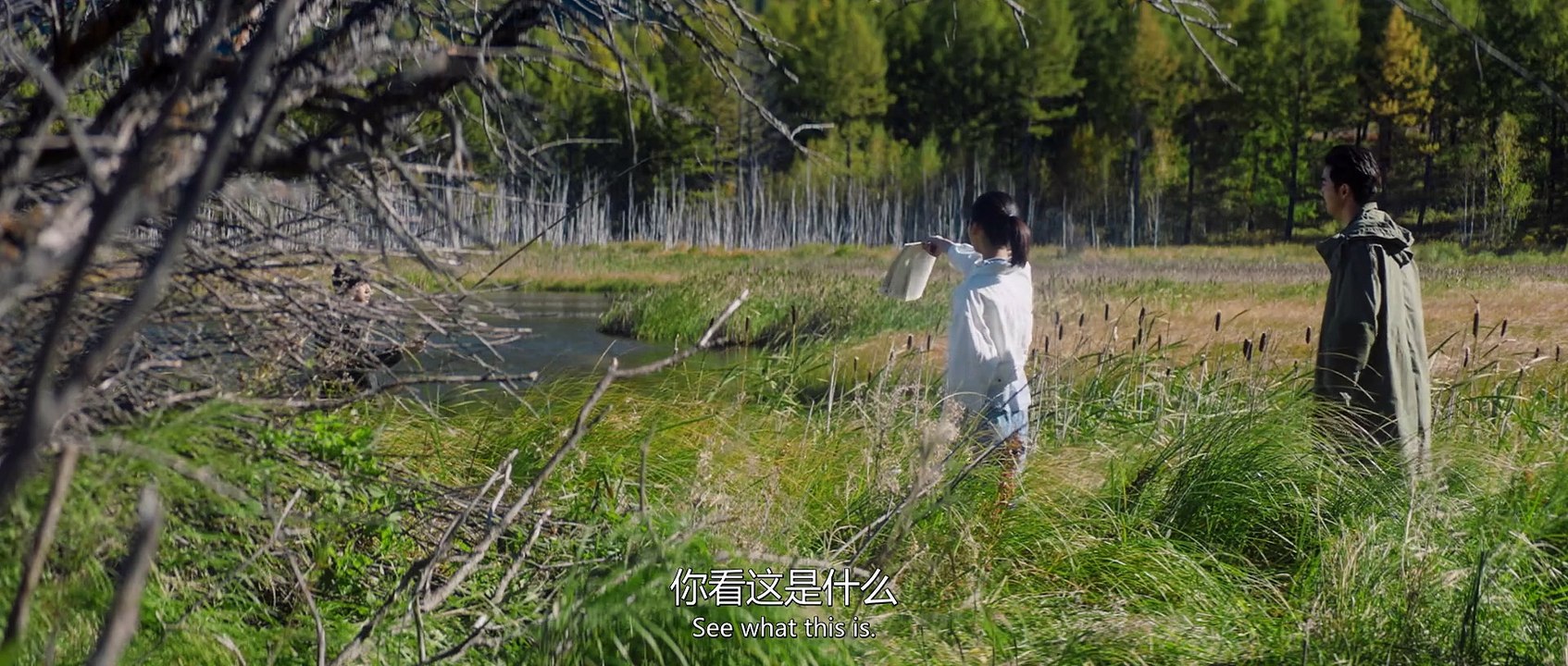 不想和你有遗憾