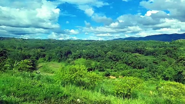 Scenic Mountain Train Journey Through Northeast India @EverestHorizons