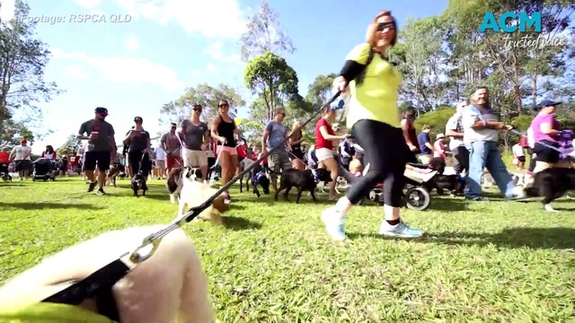 Last walkies: RSPCA’s Million Paws Walk to take its final lap after 30 years