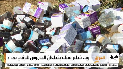 هلع وخوف يسيطران على مربيها .. وباء خطير يفتك بقطعان الجاموس شرقي بغداد