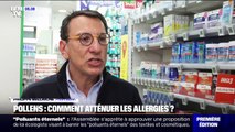 Désensibilisation, antihistaminiques...comment atténuer les allergies aux pollens?