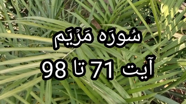 Surah Maryam | quran tilawat | Tajweed | surah maryam ki tilawat |