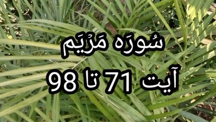Surah Maryam | quran tilawat | Tajweed | surah maryam ki tilawat |