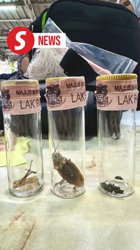 Pulau Tikus hawker centre ordered to close for 14 days over hygiene woes