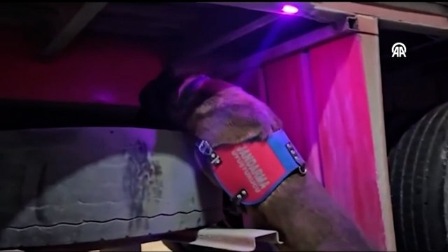 Yol uygulamasında durdurulan tırda 175,5 kilogram uyuşturucu ele geçirildi