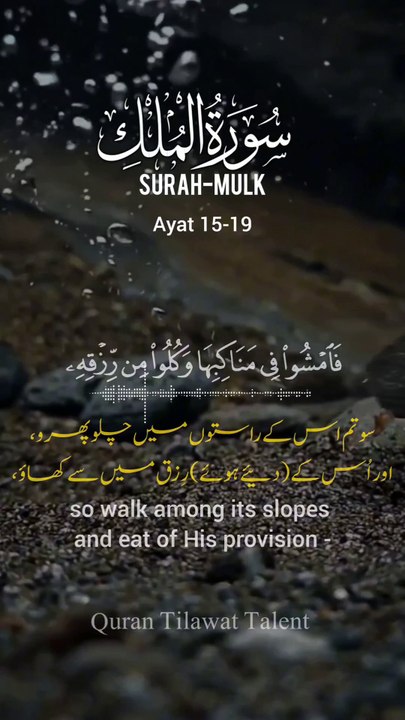 Surah mulk ayat 15-19 with Urdu translation