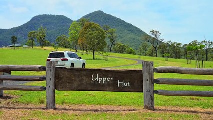 Upper Hut, Moogerah, Qld | February 20, 2025 | Farmonline