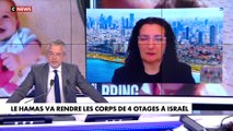 Israël : les dernières informations sur le drône infiltré