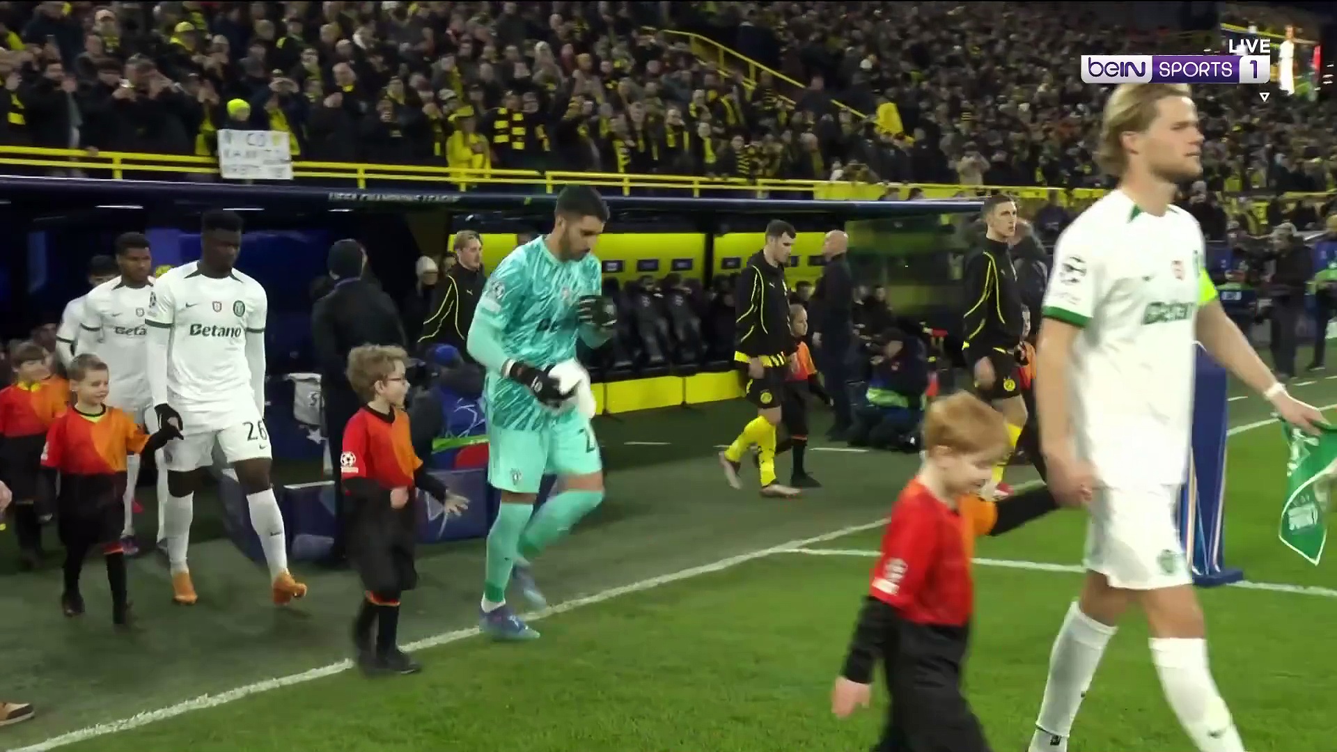 Borussia Dortmund 0-0 Sporting CP | Champions League 24/25 Match Highlights