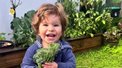 Parents demand investigation after death of two-year-old son