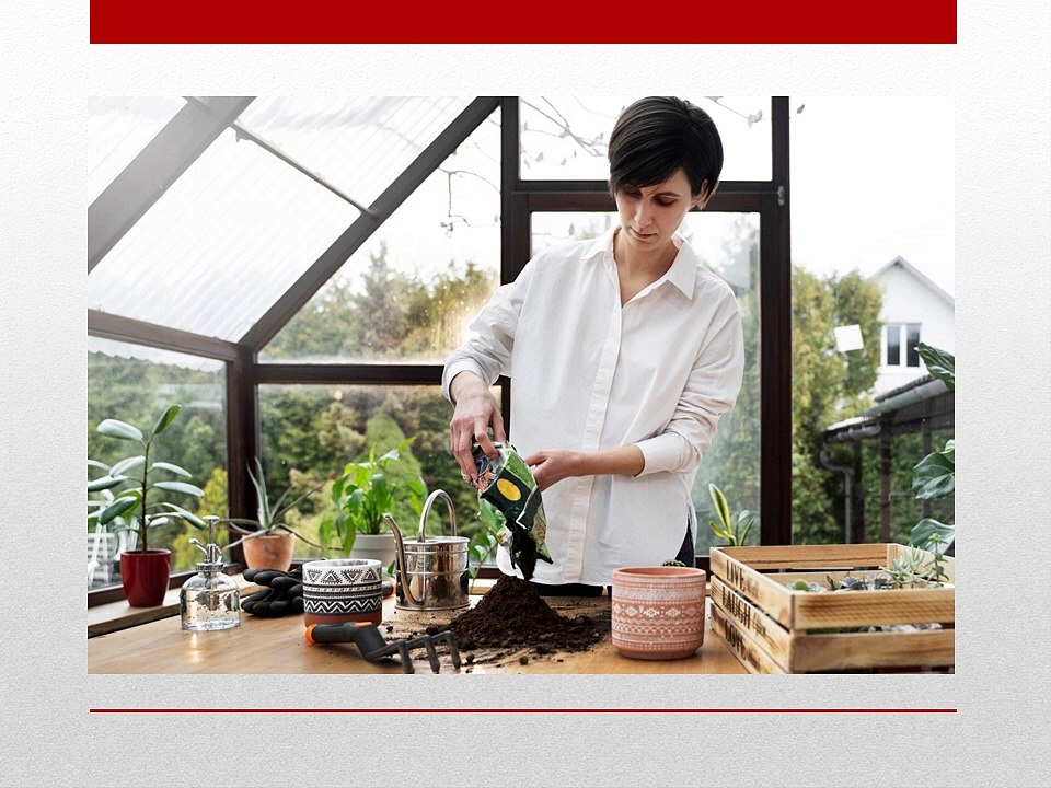 Ang Chong Yi Singapore: Innovating a Greener Future in the Culinary World