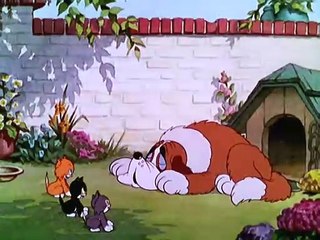 Silly Symphonies - Ancora Gattini