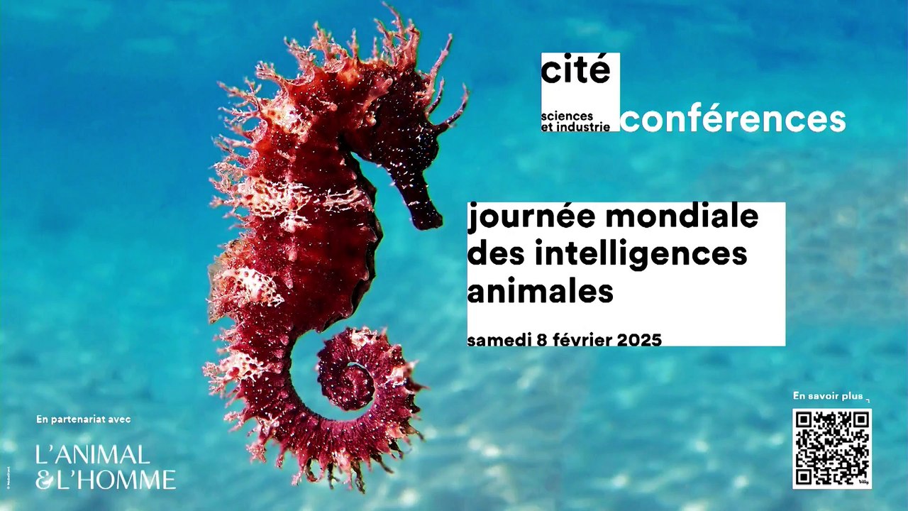 Les génies des mers