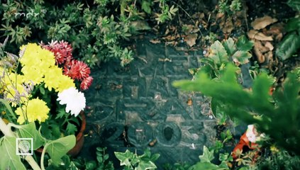 Kripo live-Tätern auf der Spur-Die Giftmörderin von Chemnitz